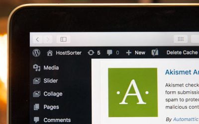 10 Reasons WordPress is the Best Choice for Your Business Website