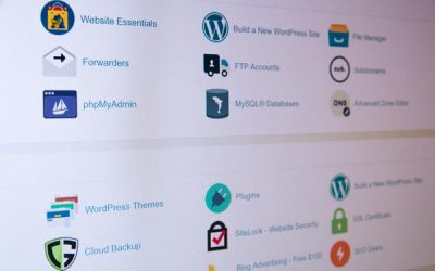 Website 101: Website Hosting and Domain Names Explained